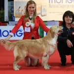 Kukkola Private Dancer Ecc1 CACIB BOB  con la   bellisima handler Dorothy Sabova