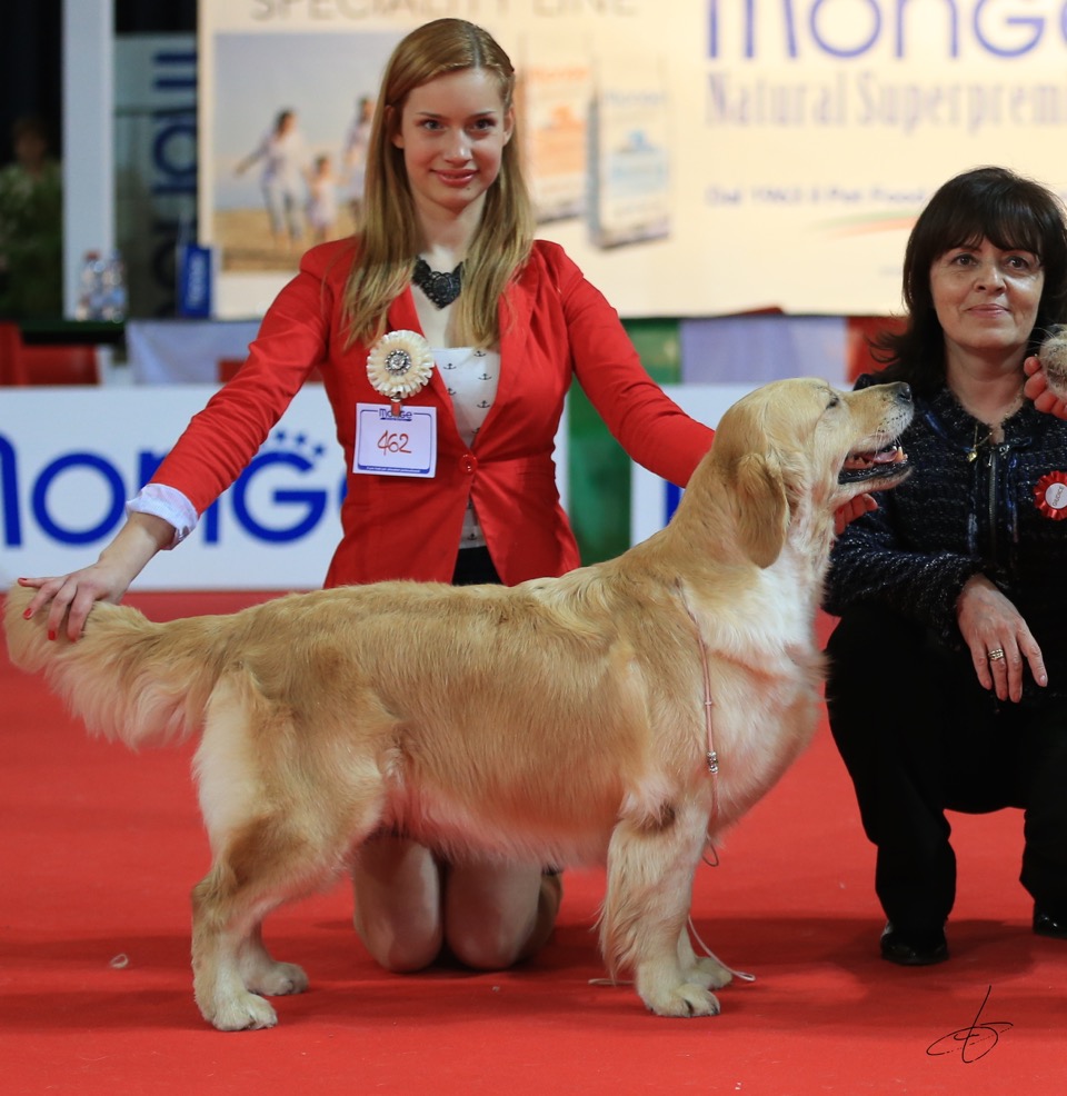 Kukkola Private Dancer Ecc1 CACIB BOB  con la   bellisima handler Dorothy Sabova