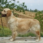 IMG-20170625-WA0002